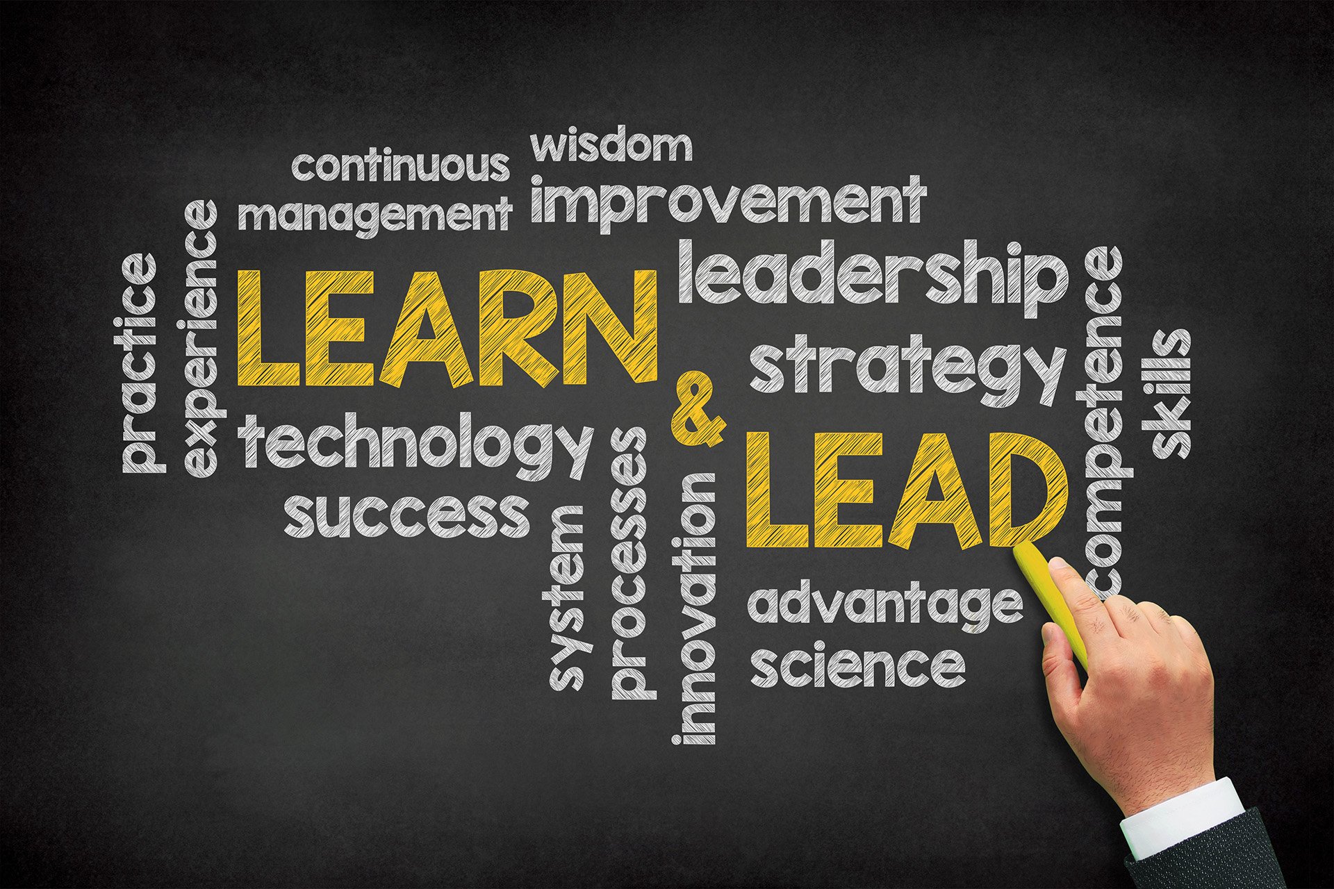 Register your interest in an Incredible Leadership Training Program and secure your place that will help you drive positive transformational change in your organisation.